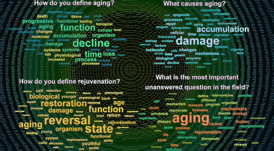 Aging researchers disagreed on its definition and fundamental properties