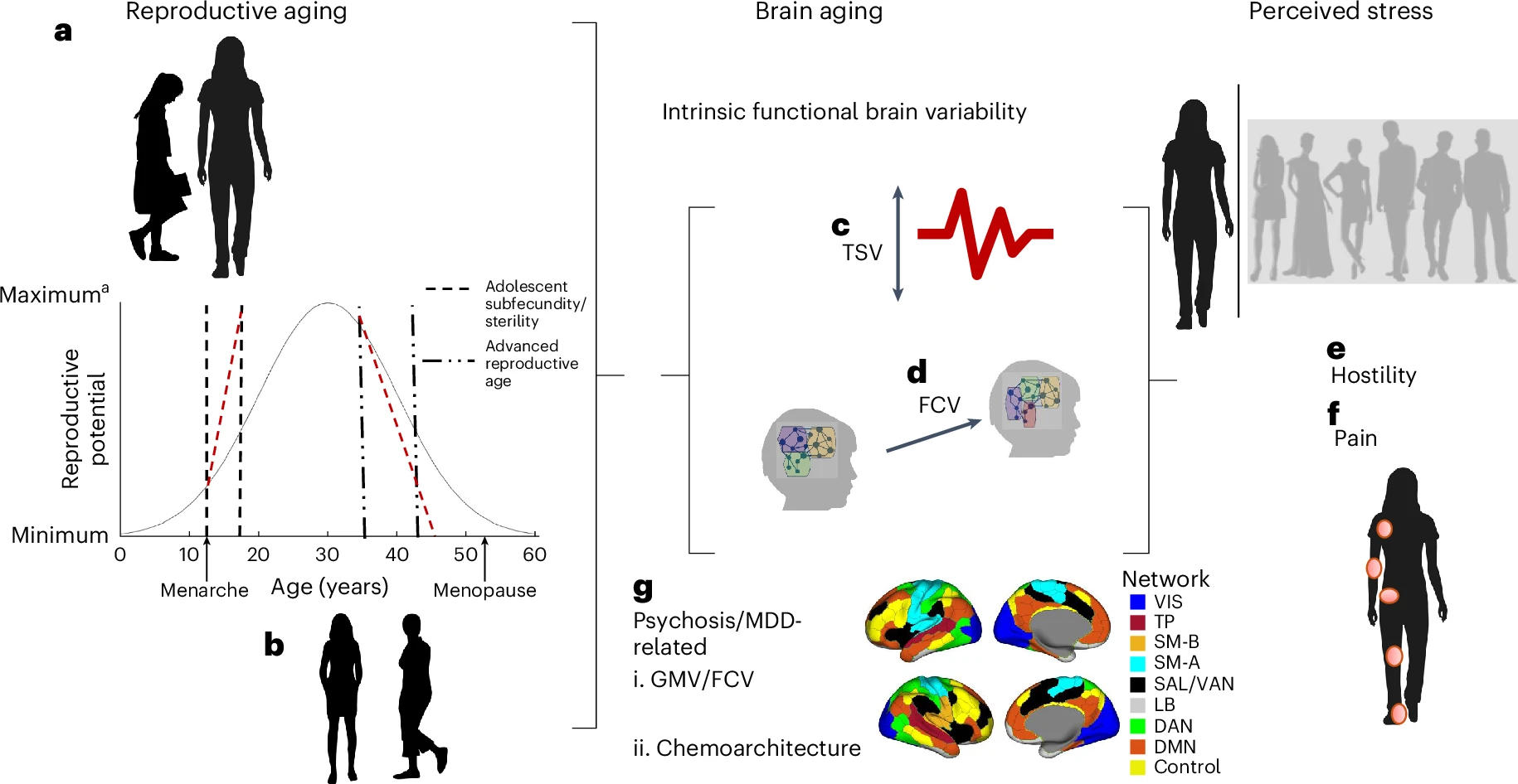 Accelerated Reproductive Aging and Mental Health