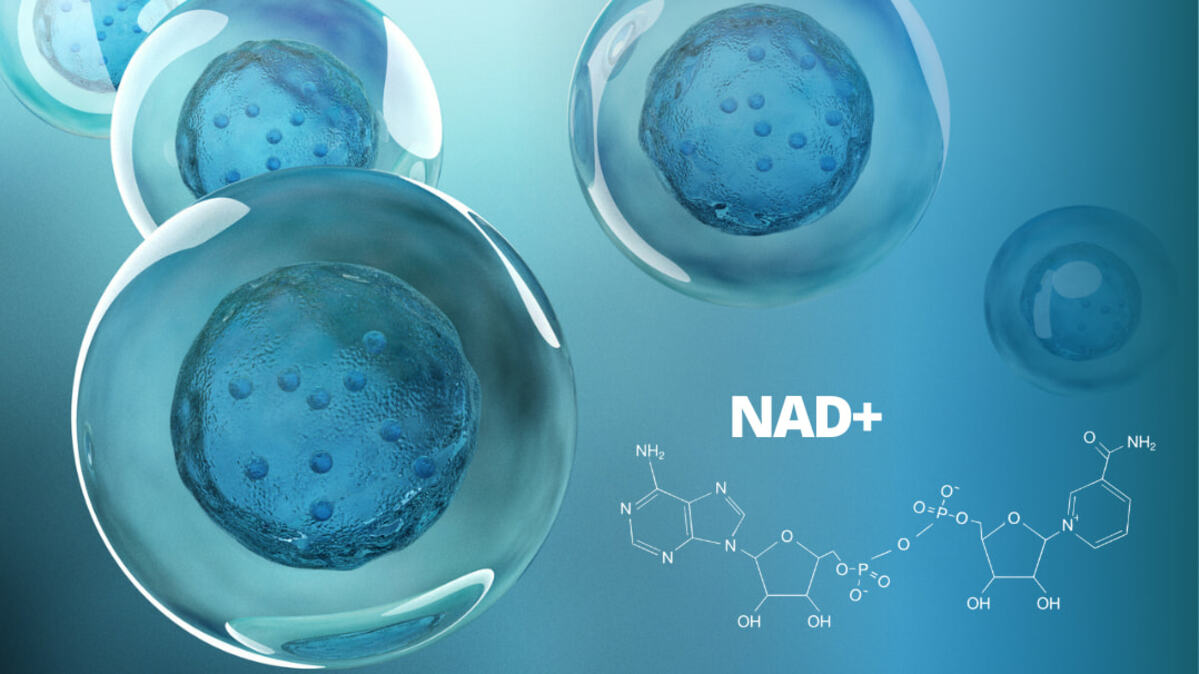 Can NAD+ Really Turn Back the Clock A Closer Look at the Science of Anti-Aging Treatments