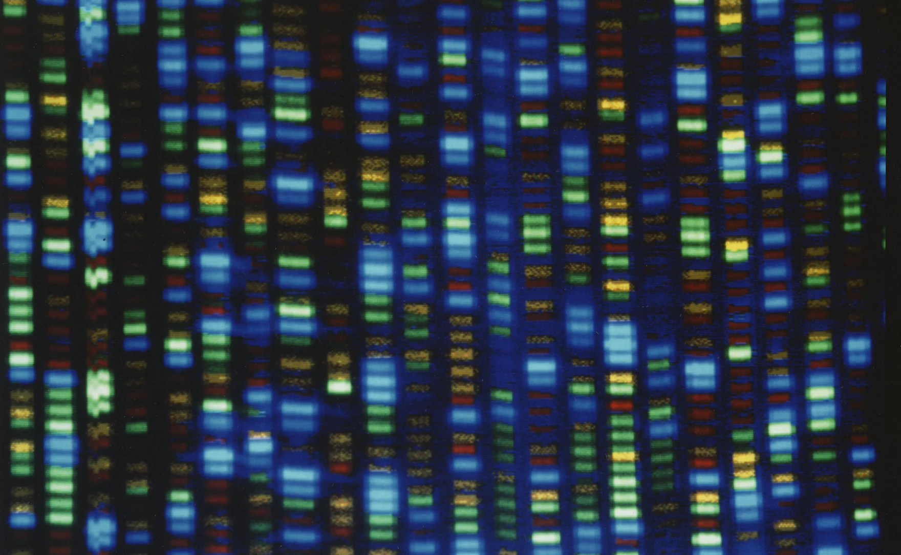 Is Aging Driven by Gene Mutations or Expression?