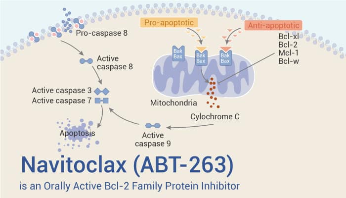 New Drug Reverses Skin Aging and Boosts Wound Healing